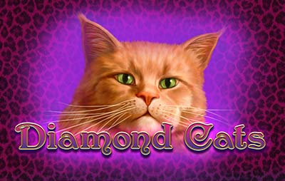 Diamond Cats